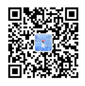 证书行情